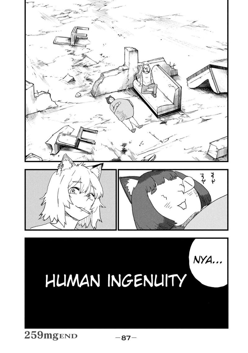 Yani Neko 259 7