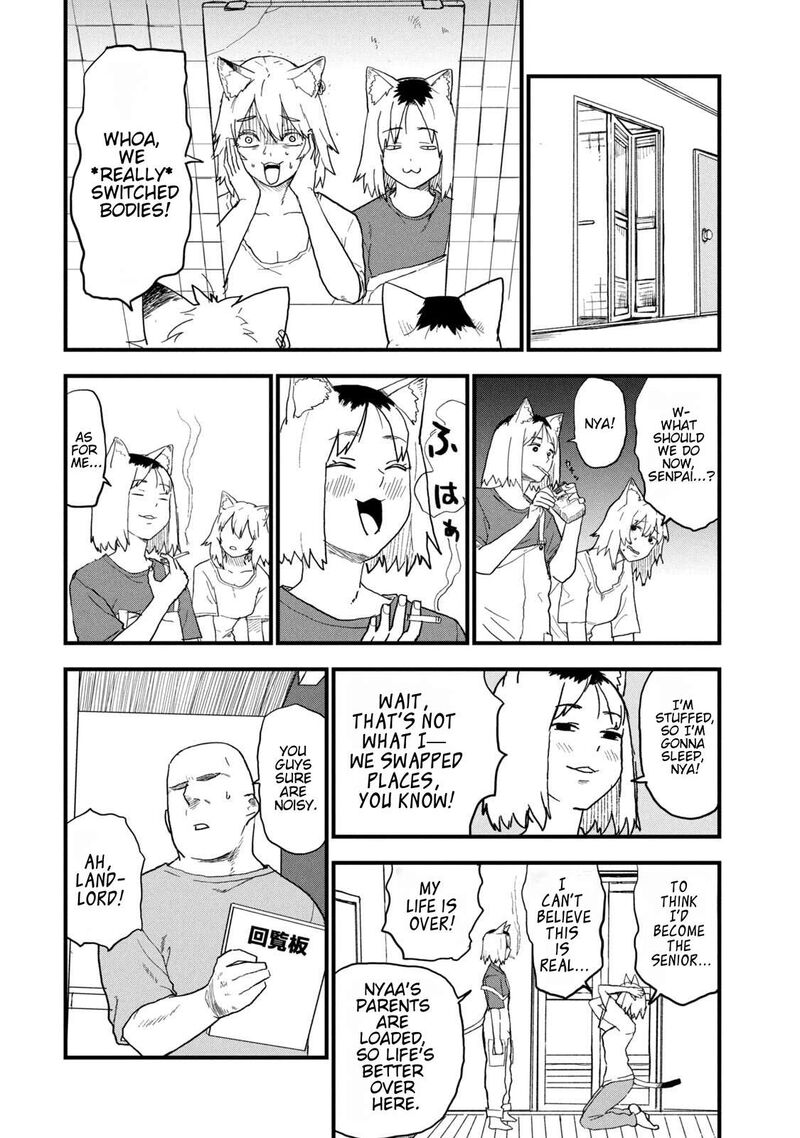 Yani Neko 263 2