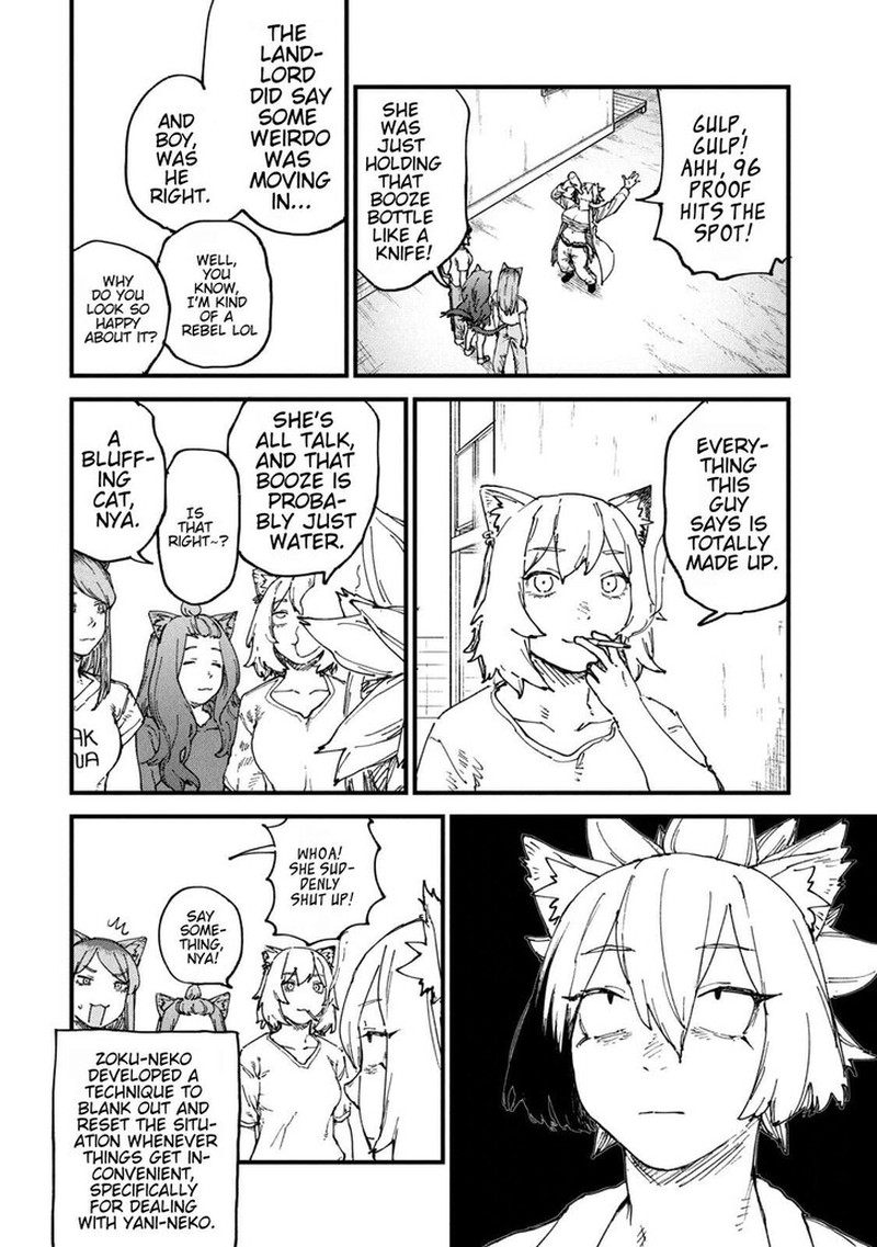 Yani Neko 268 2