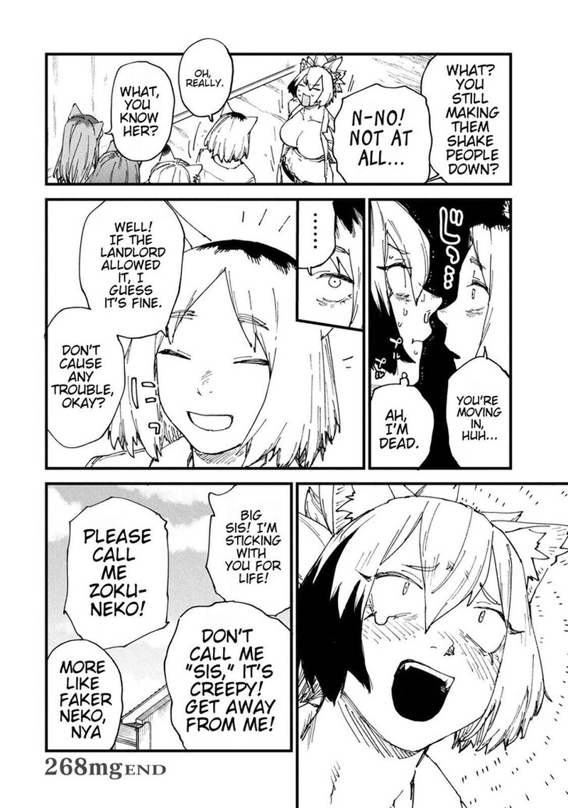 Yani Neko 268 4