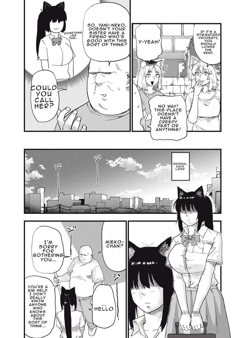 Yani Neko 271 3