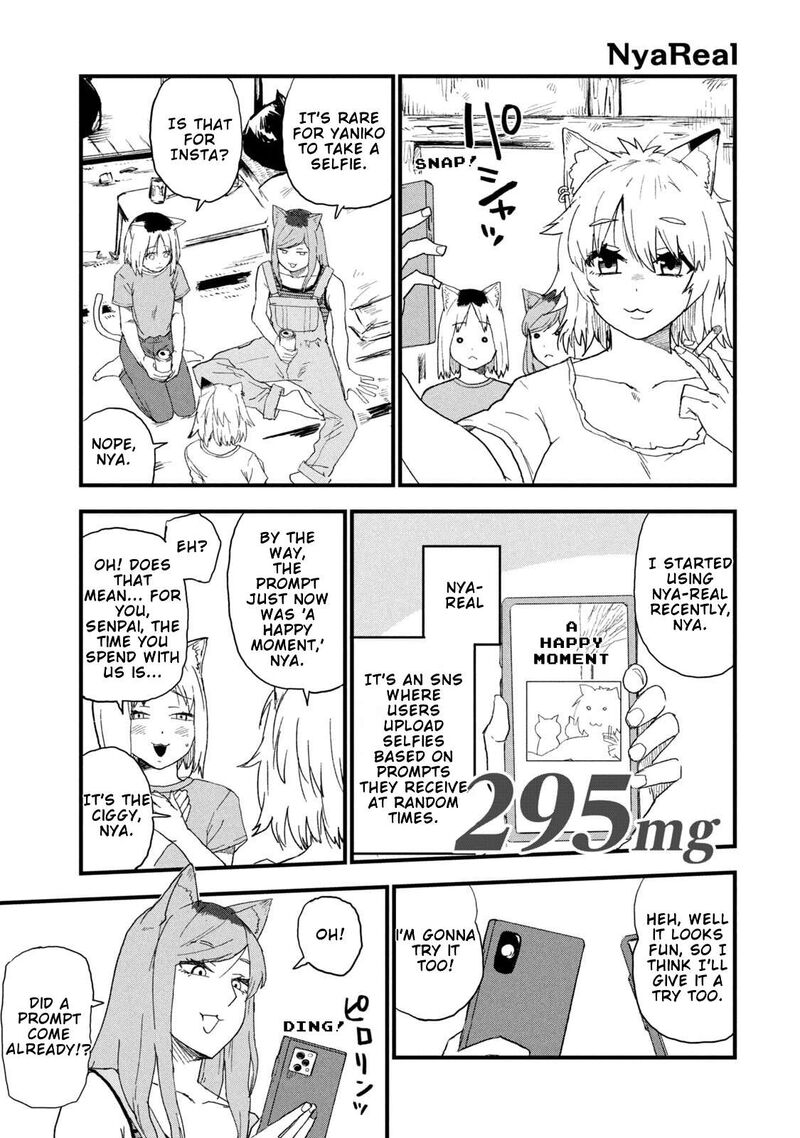 Yani Neko 295 1