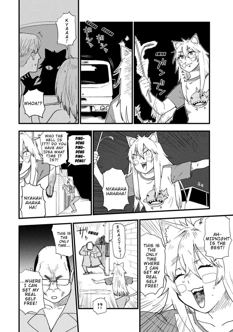 Yani Neko 300 4