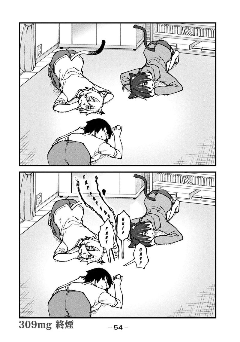 Yani Neko 309 4