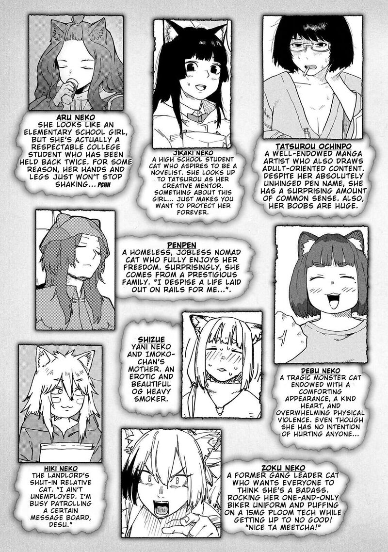 Yani Neko 325 3