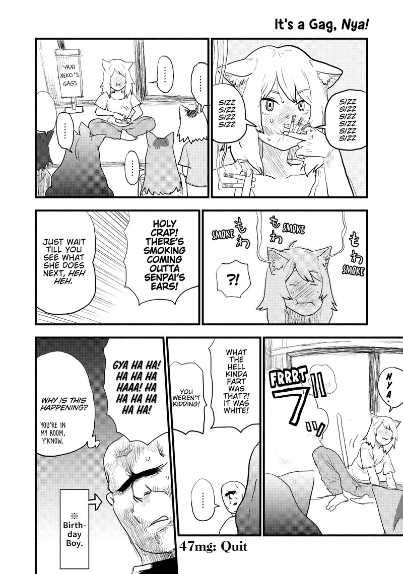 Yani Neko 47 4