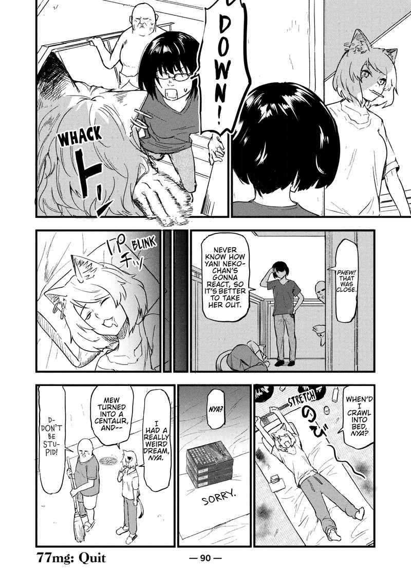 Yani Neko 77 4