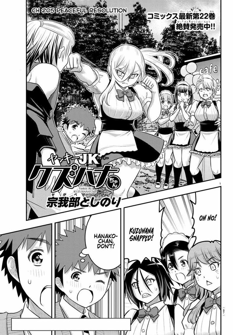 Yankee Jk Kuzuhana Chan 205 1