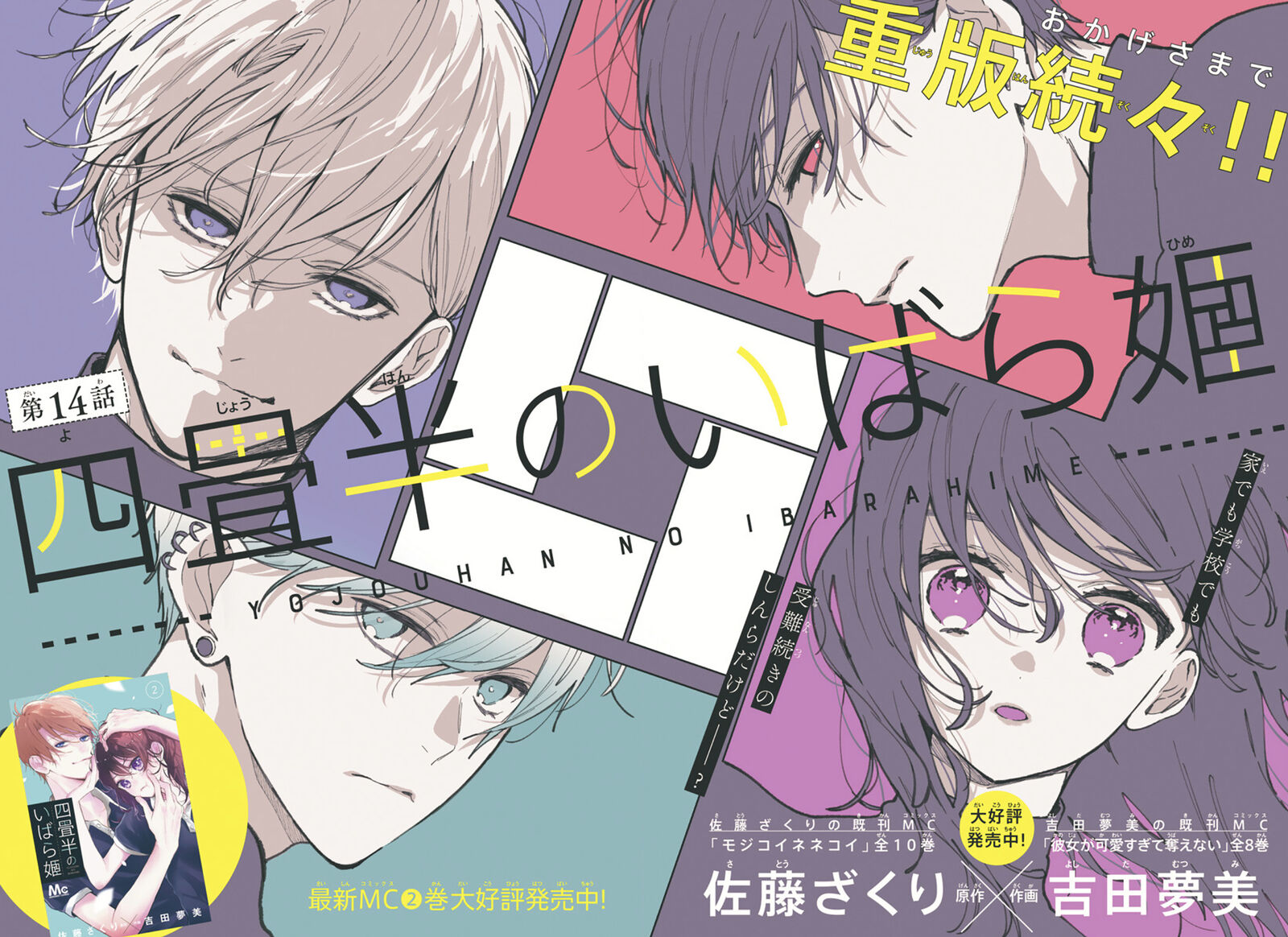 Yojouhan No Ibara Hime 14 2