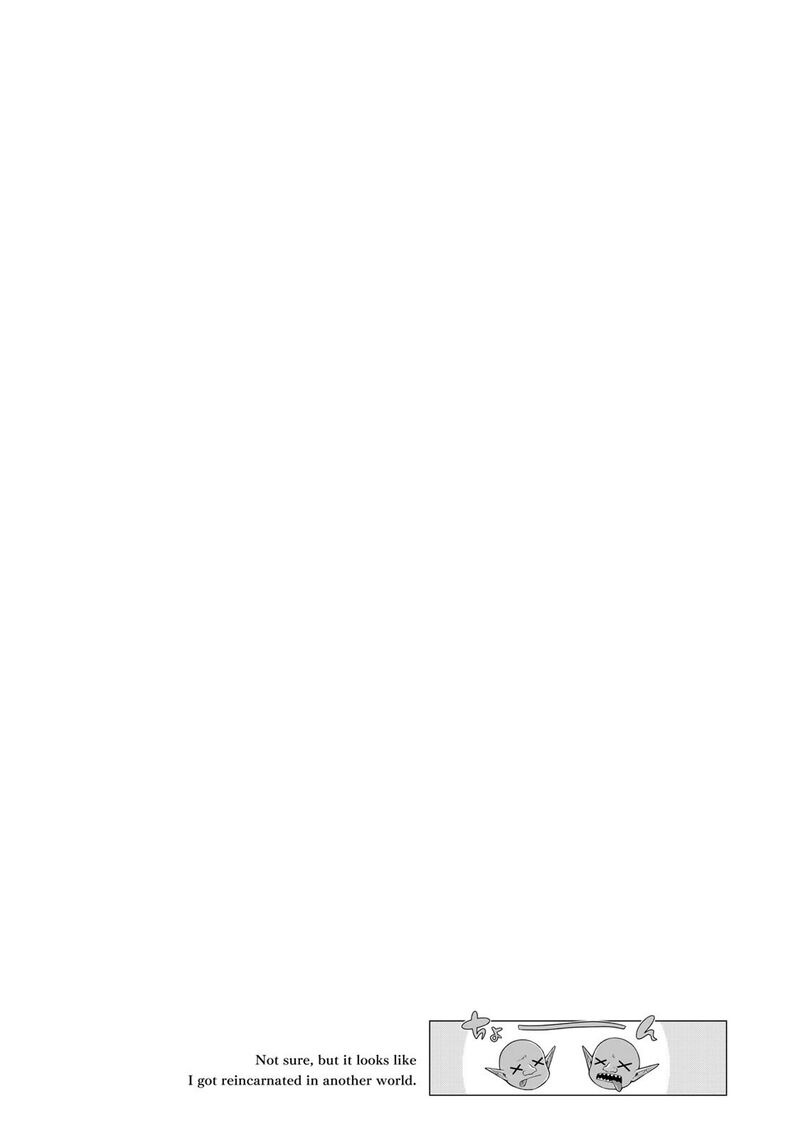 Yoku Wakaranai Keredo Isekai Ni Tensei Shiteita You Desu 115 33