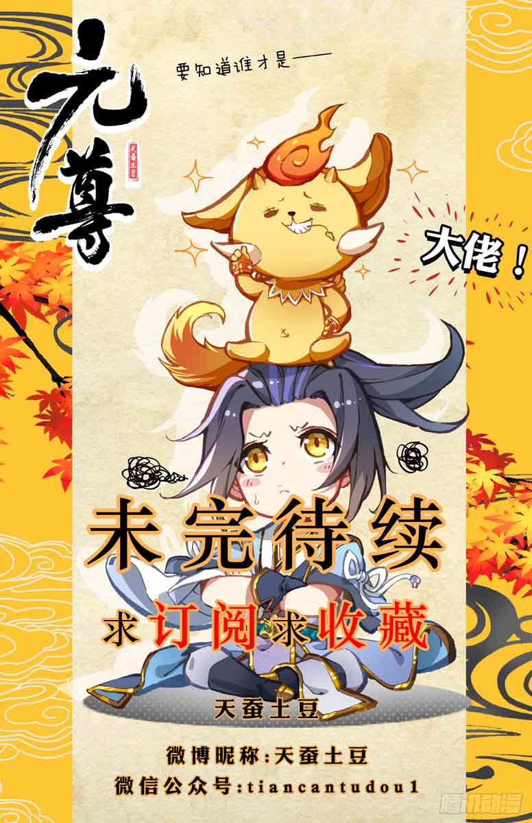 Yuan Zun 14 10