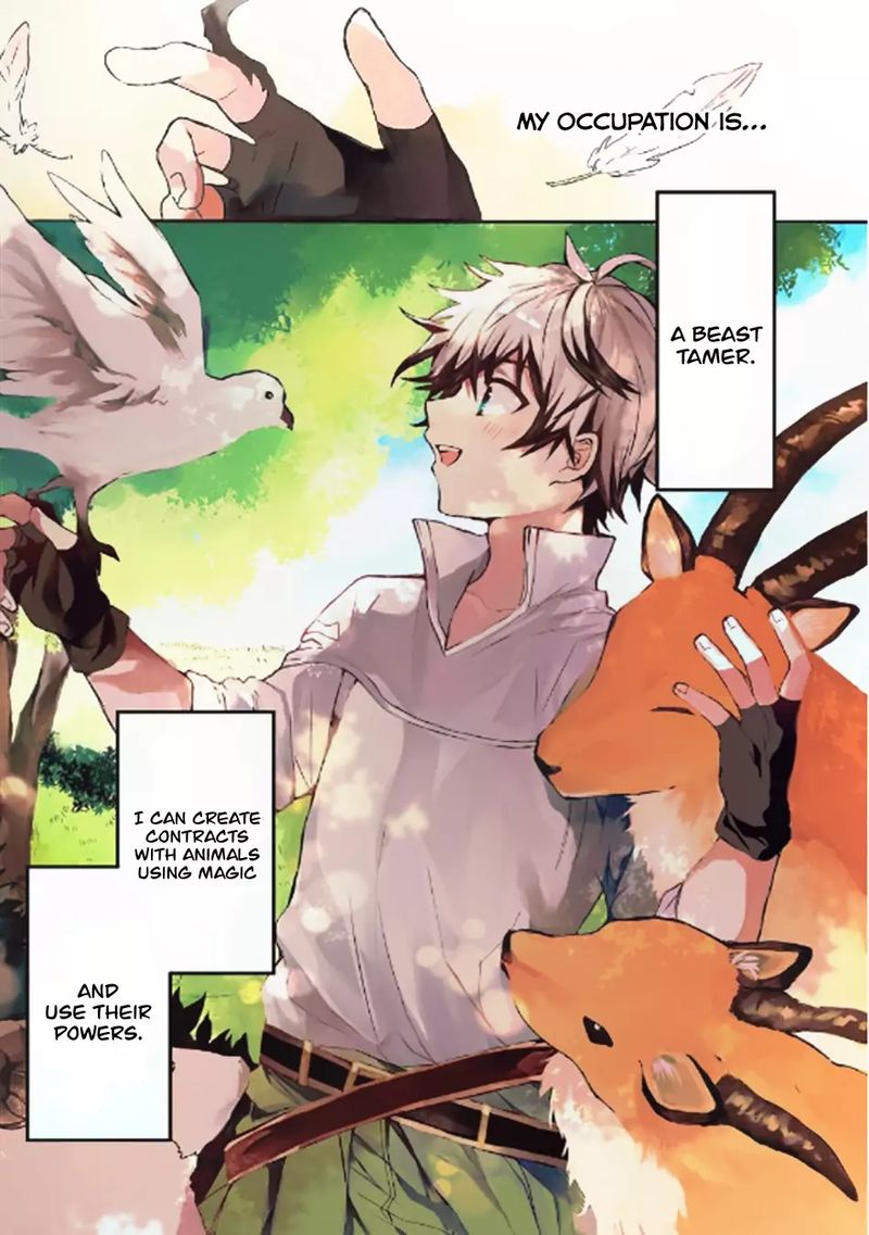 Yuusha Party O Tsuihou Sareta Beast Tamer Saikyou Shuzoku Nekomimi Shoujo To Deau 1 1