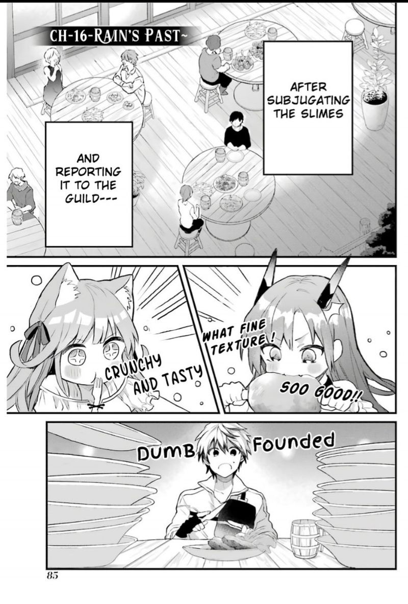 Yuusha Party O Tsuihou Sareta Beast Tamer Saikyou Shuzoku Nekomimi Shoujo To Deau 16 1