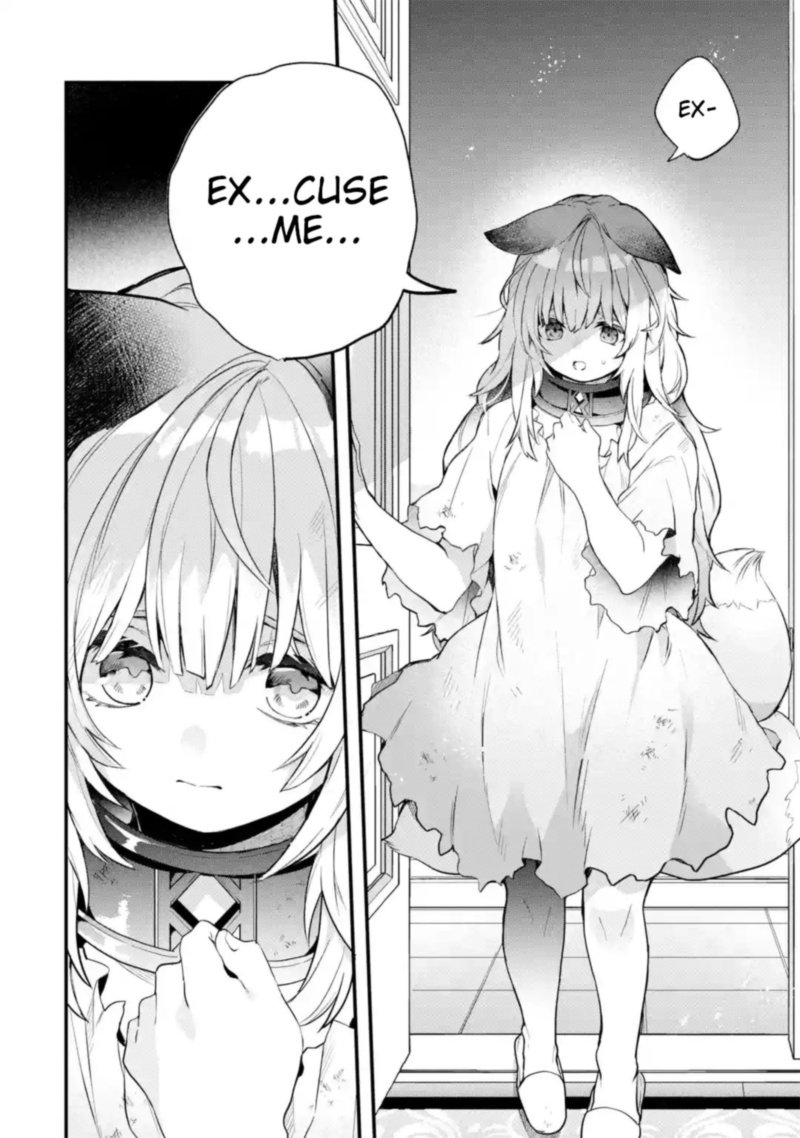 Yuusha Party O Tsuihou Sareta Beast Tamer Saikyou Shuzoku Nekomimi Shoujo To Deau 46 10