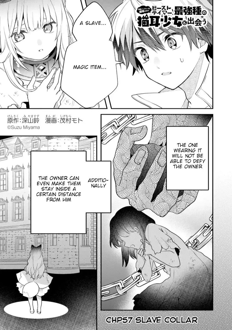 Yuusha Party O Tsuihou Sareta Beast Tamer Saikyou Shuzoku Nekomimi Shoujo To Deau 57 1