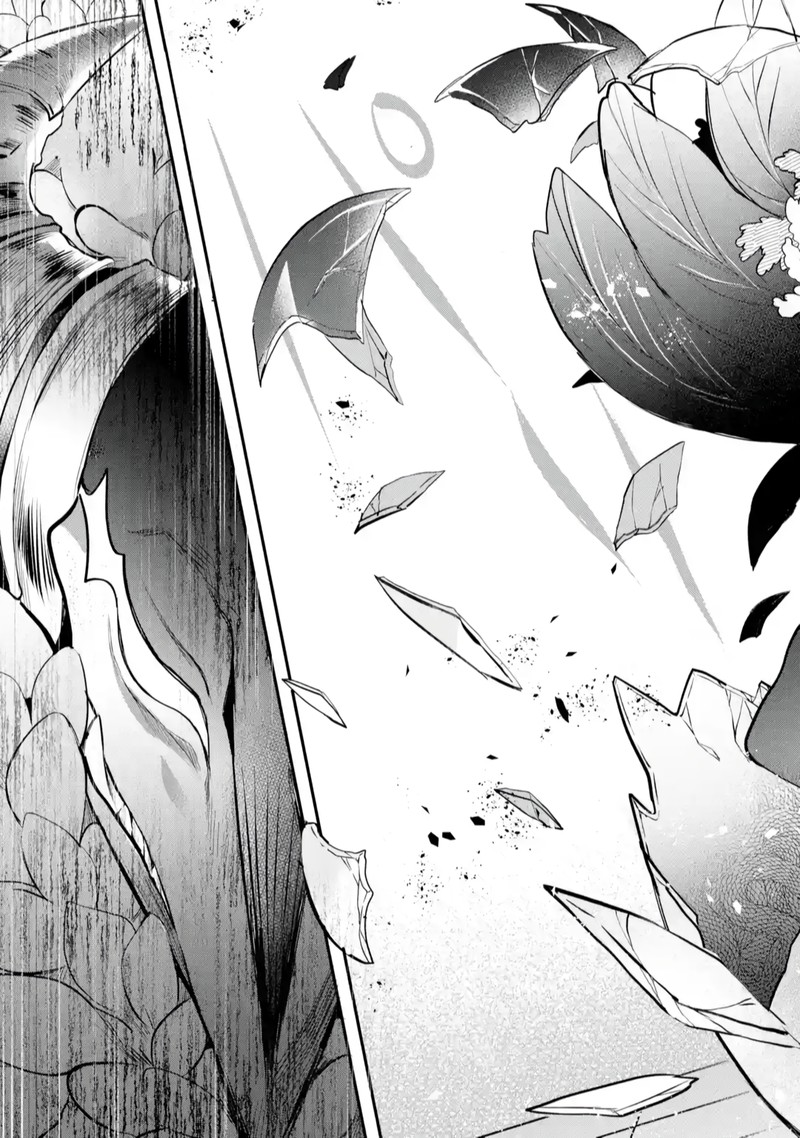 Yuusha Party O Tsuihou Sareta Beast Tamer Saikyou Shuzoku Nekomimi Shoujo To Deau 61 23