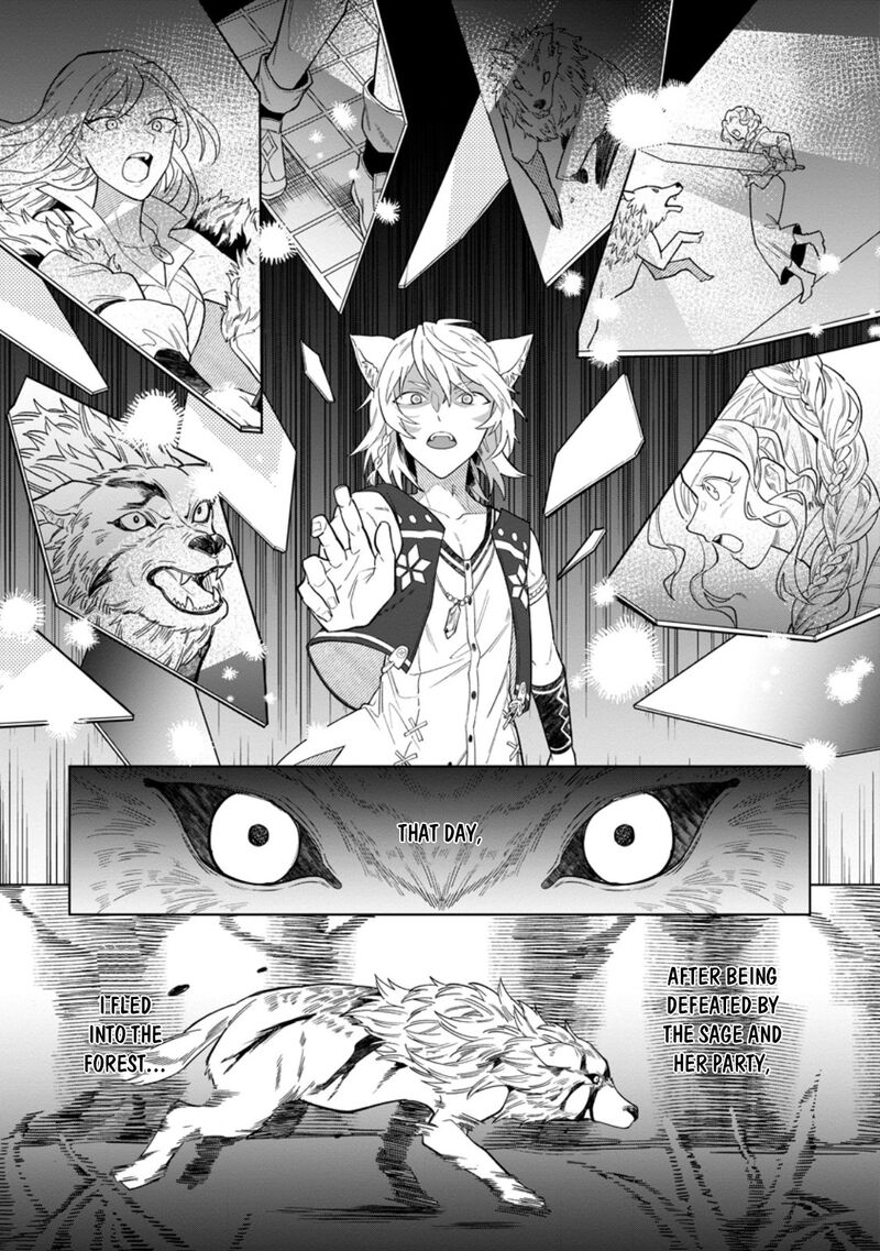 Yuusha Party Wo Tsuihousareta Hakuma Doushi S Rank Boukensha Ni Hirowareru Kono Hakuma Doushi Ga Kikakugai Sugiru 50 27